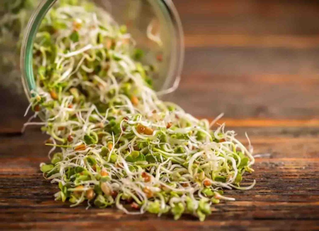 Alimentos que dan Vitalidad y eleva la vibración del cuerpo