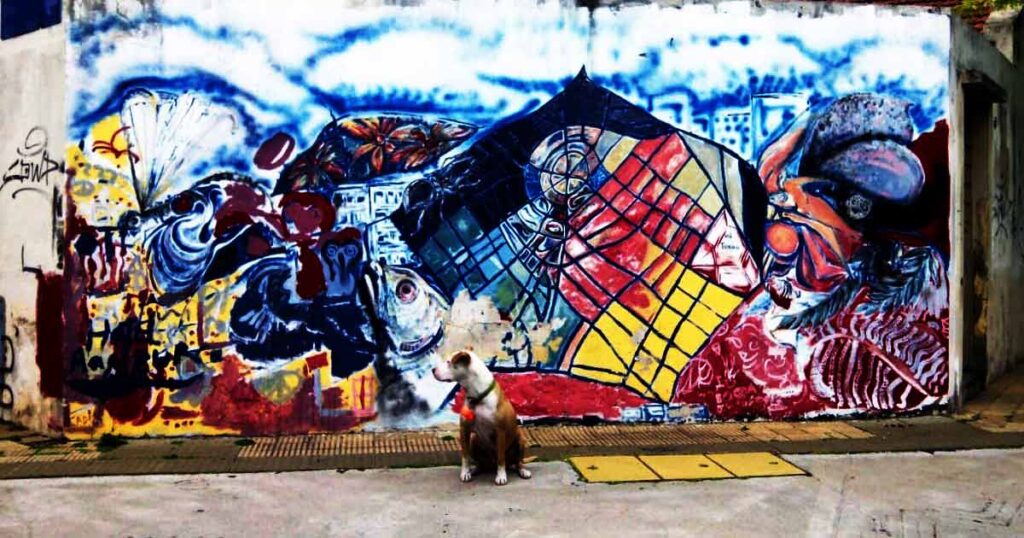 Parque Chas es un lugar que ya tiene como 100 años…