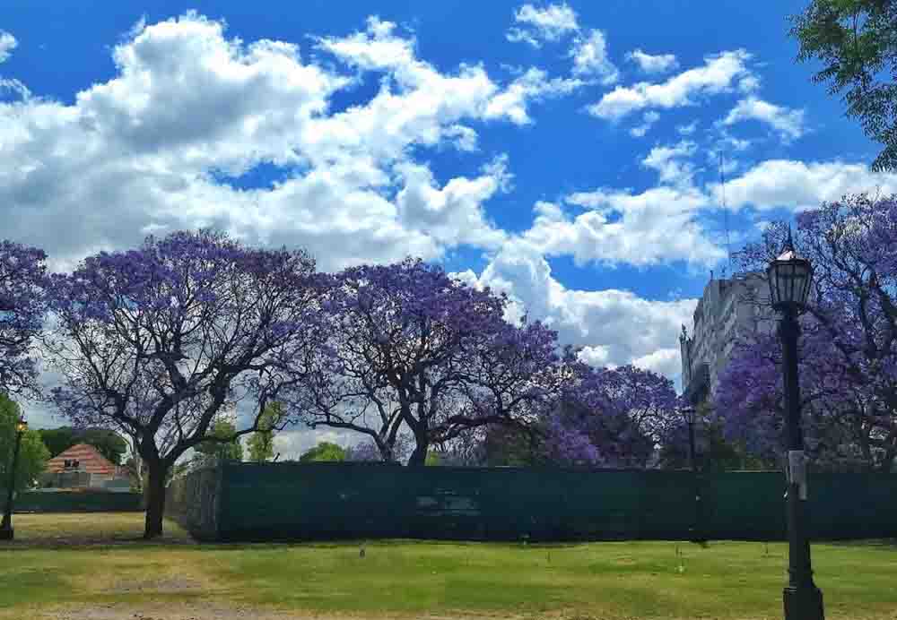 Parque Patricios: quieren llamar “Elsa Isabel Bornemann” al actual “Parque Uriburu”