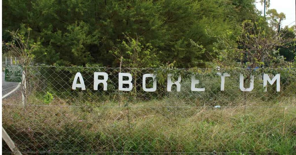 Cumple 21 años, el Arboretum Árboles de Buenos Aires