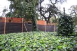 Concesionarán un café dentro del Jardín Botánico de Palermo
