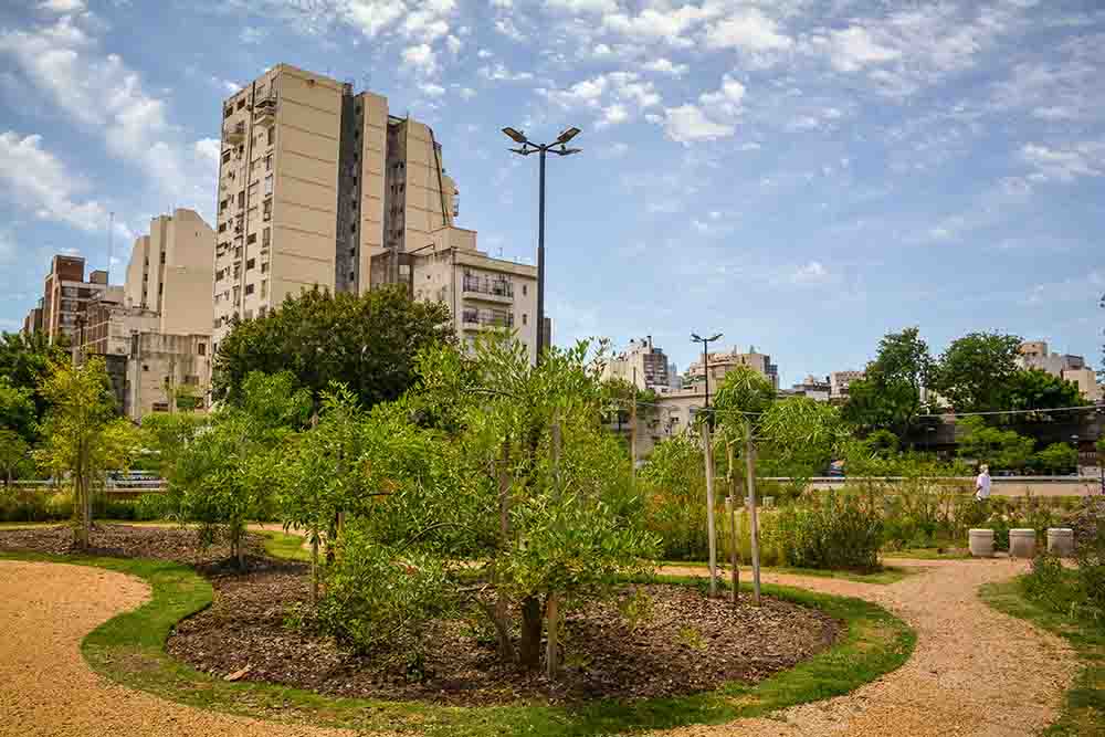Balvanera: el programa UBA en Acción de atención odontológica en la Plaza Manzana 66