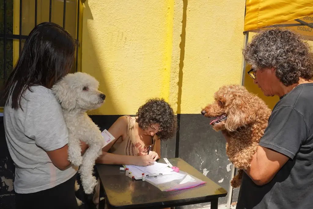 Día por día, dónde serán esta semana los operativos de Más servicios en tu barrio