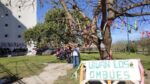Vecinos de La Boca lanzan una campaña para salvar los ombúes del Parque de Flora Nativa Benito Quinquela Martín