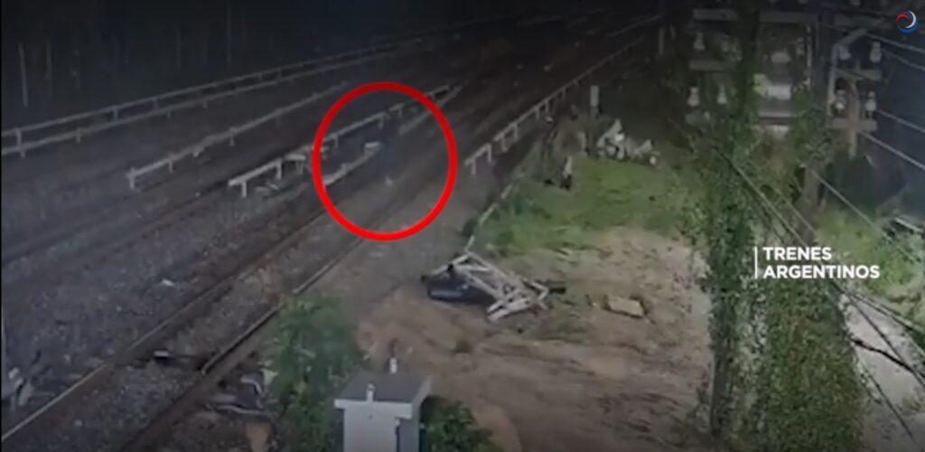 Detuvieron en Palermo a una persona que intentó robar cables del tren Mitre