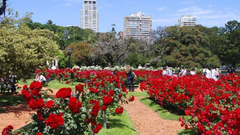 Evento en el Rosedal de Palermo