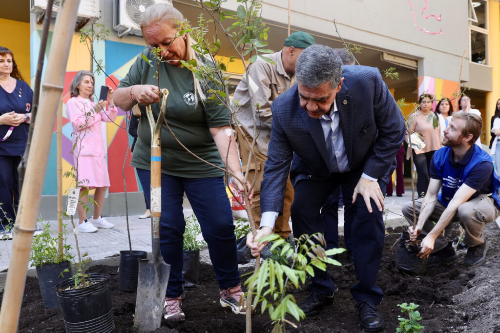 El Hospital Elizalde aloja el “primer microbosque del país” dentro de un centro público de salud