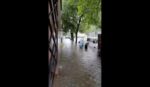 Temporal en Saavedra: se registraron calles anegadas e inundaciones