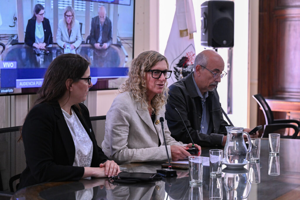 Audiencias Públicas en la Legislatura por el uso de inmuebles en Parque Avellaneda y San Cristóbal