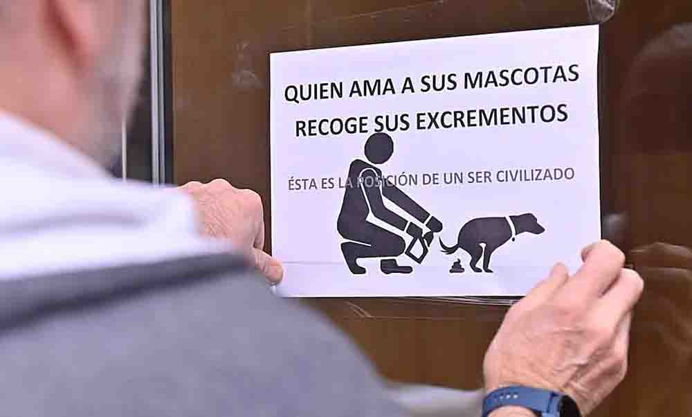 Consejos para una buena convivencia