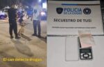 Artbat en Parque Sarmiento: la policía usó perros para detectar y secuestrar tusi, éxtasis y marihuana