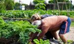 Paseo Ambiental del Sur en Villa Soldati: talleres gratuitos de verano para combatir el cambio climático