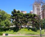 Un informe oficial expone las desigualdades en la calidad de vida entre el norte y el sur de la Ciudad