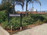 Cromañón en el Parque de la Estación: música, memoria y encuentro a 21 años de la tragedia