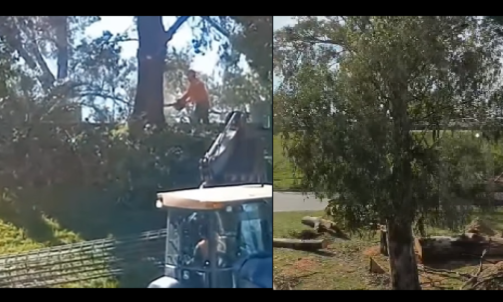 Vecinos de Lugano cuestionan a una defensoría por investigar a su abogado en plena disputa ambiental