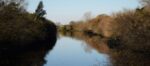 Proponen crear el Parque del Arroyo Medrano en Núñez y reavivan el debate sobre el arroyo entubado bajo Saavedra