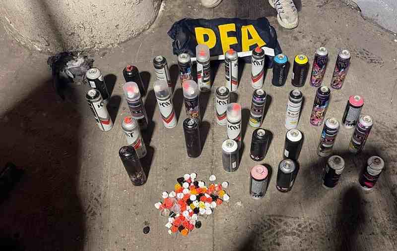 Siete detenidos acusados de vandalizar formaciones del tren Sarmiento con grafitis