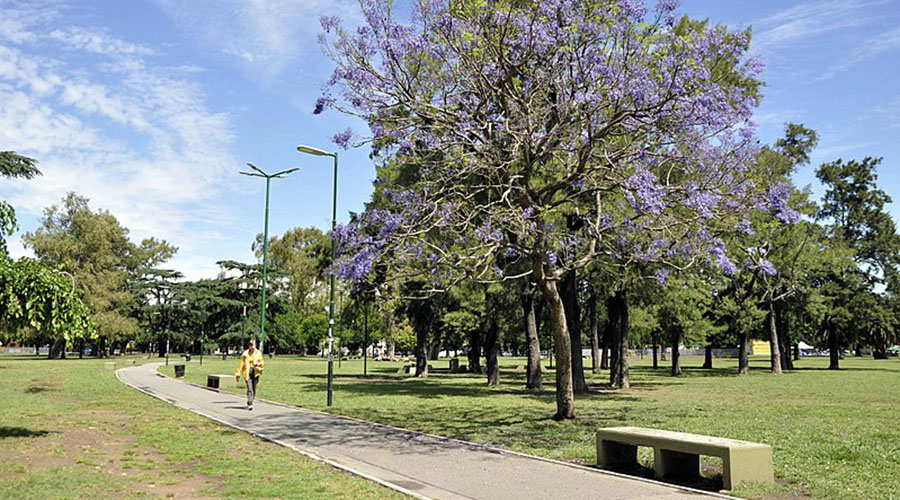 Impulsan un proyecto de Ley para dar protección integral al Parque Saavedra