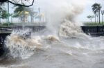 Detectan altas concentraciones de medicamentos como el viagra en el Río de la Plata y otros cursos de agua del AMBA