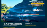 Castraciones gratuitas en la Plaza Sarmiento