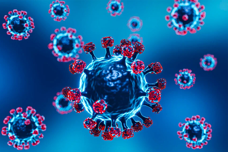 Influenza A H3N2: el Ministerio de Salud pidió reforzar las medidas de prevención