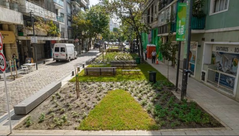 Calles verdes en la Ciudad: una estrategia de transformación urbana sostenible