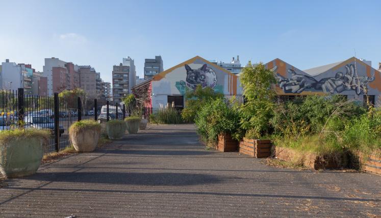 Colegiales: comenzó la construcción de un nuevo espacio verde junto al Mercado de Pulgas