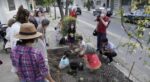 Coghlan: buscan declarar de Interés Ambiental y Social a la agrupación Barrios Arborescentes