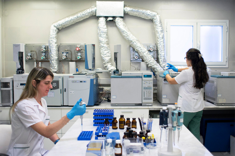 El Gobierno favorece a las grandes corporaciones: se flexibiliza el régimen de patentes farmacéuticas