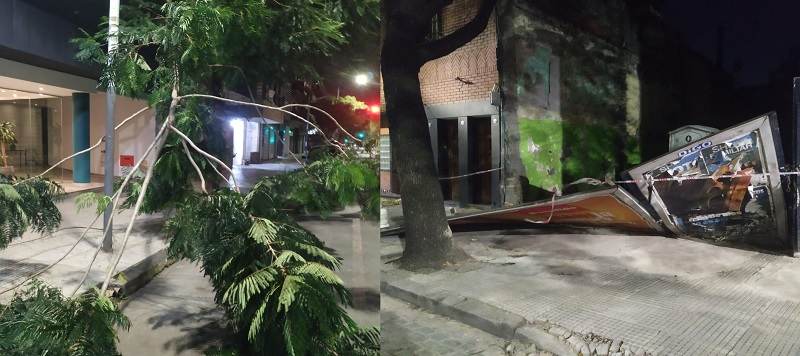 Temporal de viento en la Ciudad: ramas, tachos y carteles caídos en Almagro y zonas aledañas