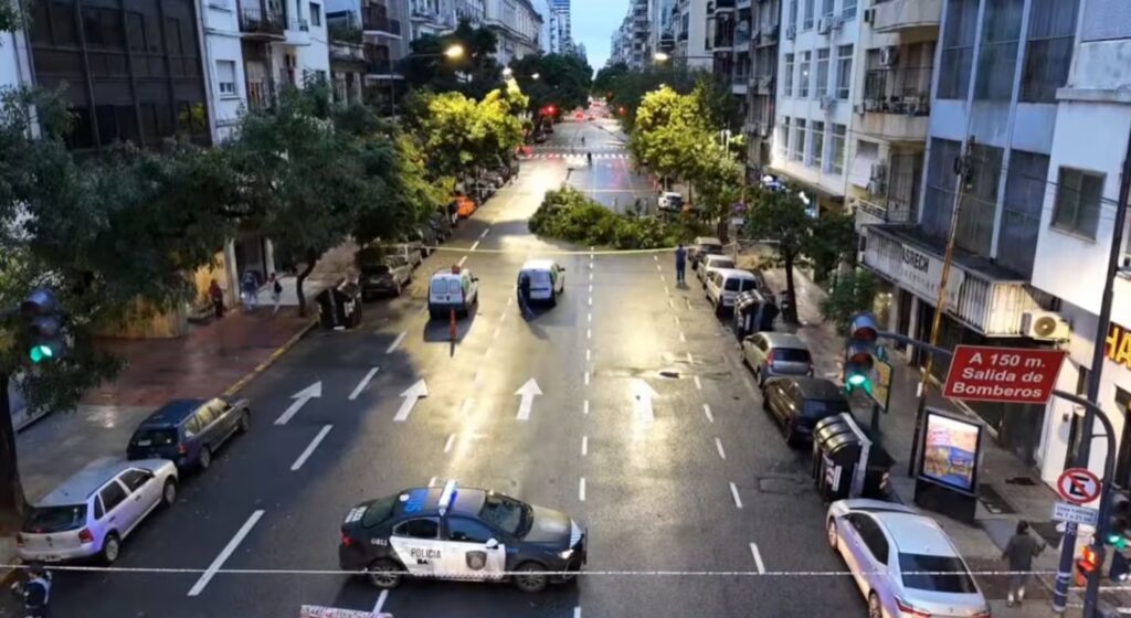 Por las lluvias y vientos se cayeron árboles en Palermo y Monserrat