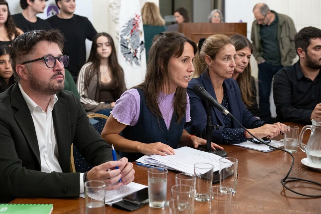 La Legislatura porteña debatió sobre amenazas de violencia en escuelas y el abordaje educativo