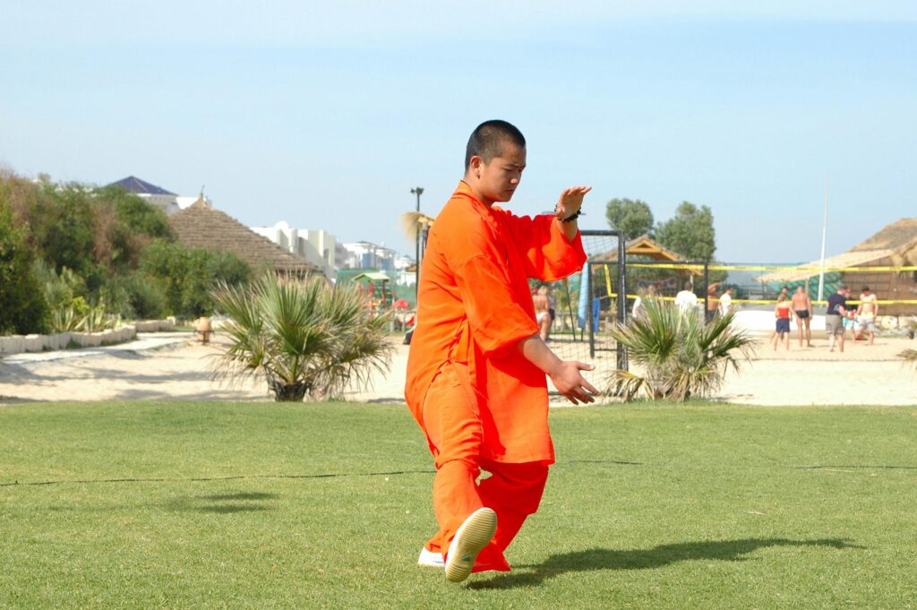 Taijiquan: marcialidad y salud mediante la lentitud