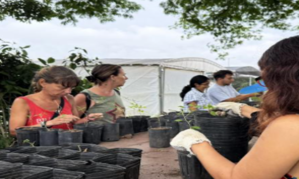 La Ciudad impulsa voluntariados ambientales en otoño con actividades en vivero y huerta urbana