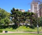 Belgrano y el 25 de Mayo: los hilos históricos y las tradiciones que unen al barrio con la gesta patria