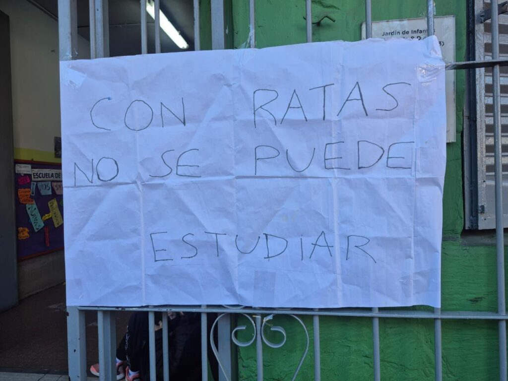 Preocupación por la aparición de roedores en una escuela de Mataderos