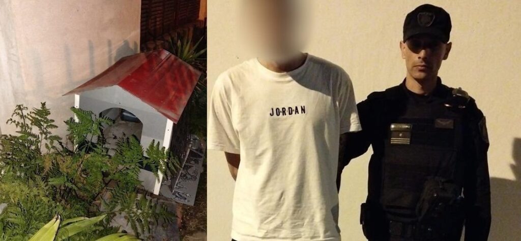 Villa Devoto: persecución de la Policía de la Ciudad terminó con un detenido escondido en una cucha de perro