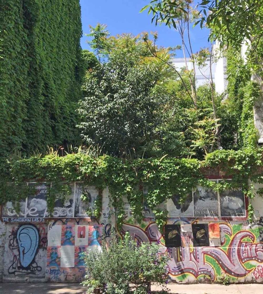 “Invitación a mirar” y debatir con vecinos por la construcción de la reserva urbana en Acuña de Figueroa 981