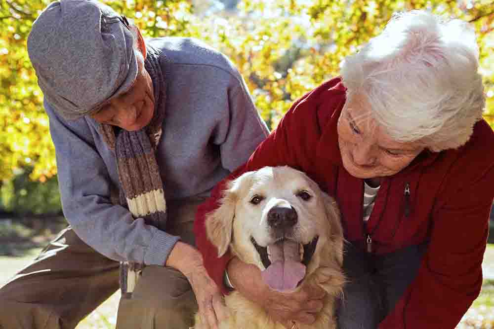 Los beneficios de tener una mascota en la tercera edad