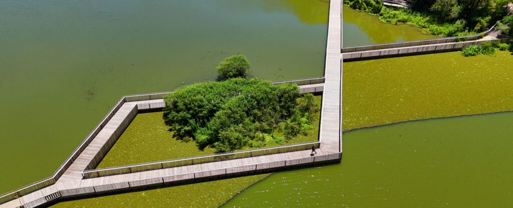La Reserva Ecológica Costanera Sur celebró 40 años como el área protegida más visitada del país