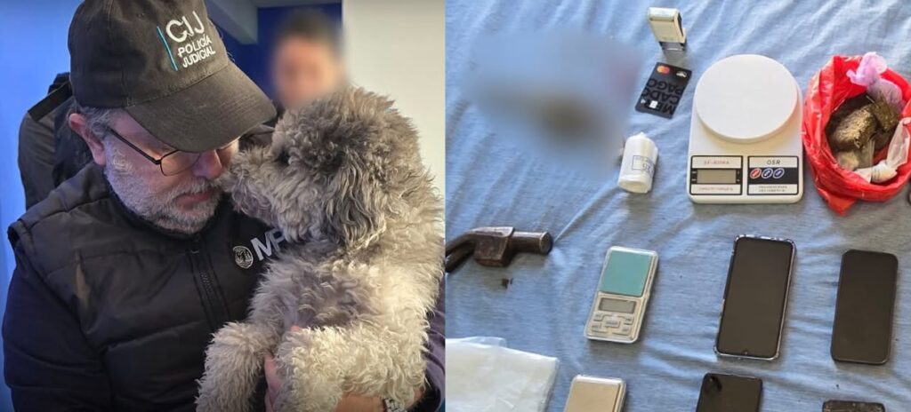 Rescataron dos perros tras una denuncia por maltrato animal y detuvieron a un hombre por armas y drogas