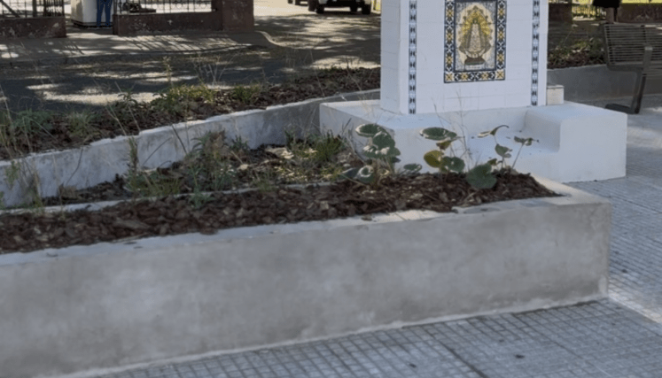 La rotonda de Agronomía sumó flora nativa para fortalecer la biodiversidad urbana
