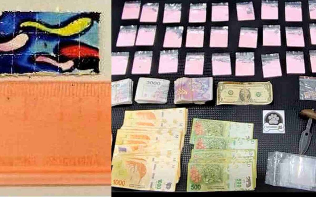 Boedo: detectan una peligrosa mezcla de nueve drogas sintéticas tras un allanamiento en un pet shop